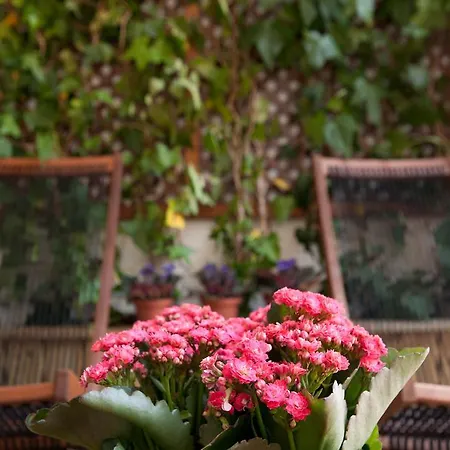 شقة كازانوفا تشارم من 4 غرف نوم *